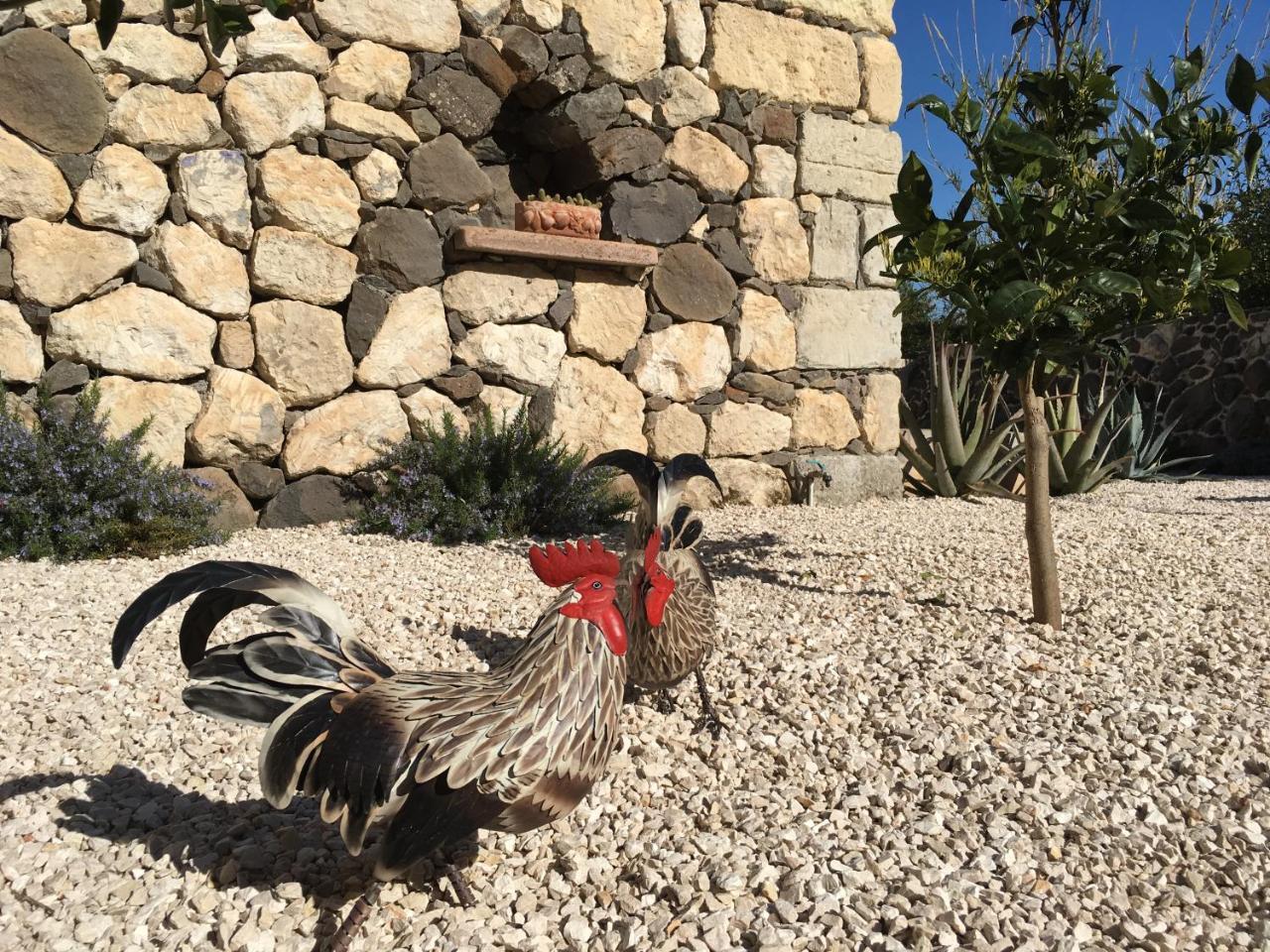 La Petite Maison Tresnuraghes Kültér fotó